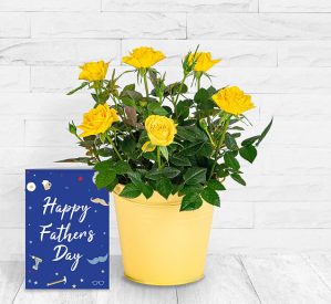123 Flowers Lovely Lemon Rose & Card