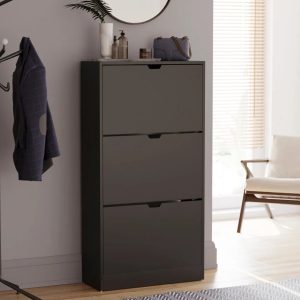 17 Stories 18 Pair Flip Down Shoe Storage black 115.0 H x 60.0 W x 24.0 D cm