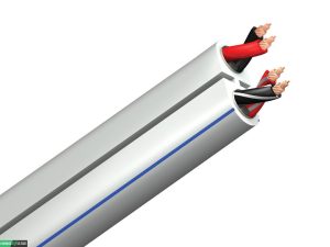 AudioQuest Rocket 22 Speaker Cable - White