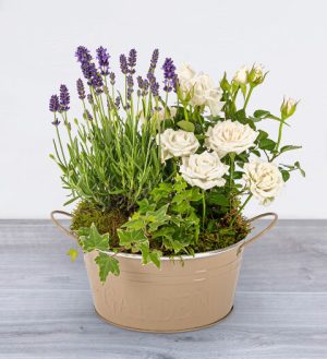 Prestige Flowers Father's Day Garden Planter