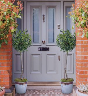 Prestige Flowers Luxury Outdoor Holly Tree - Christmas Plants - Christmas Outdoor Plants - Front Porch Plants - Entrance Plants - Free Chocs
