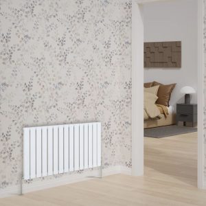 Belfry Heating Brunson Horizontal Double Flat Panel Radiators 600x1020mm white 60.0 H x 102.0 W x 5.2 D cm