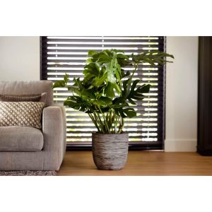 Capi Europe Plant Pot gray 41.0 H x 43.0 W x 41.0 D cm