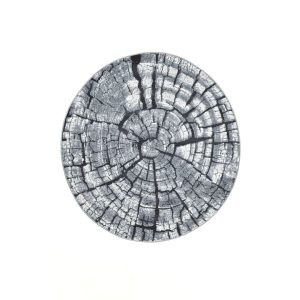 Gino Falcone Indoor & Outdoor Carpet Aurora in Gray gray 300.0 H x 300.0 W x 1.0 D cm
