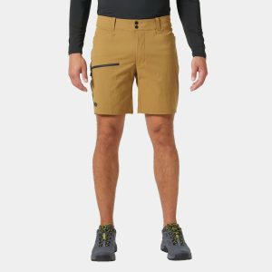 Helly Hansen Men’s Vika Tur Shorts Brown L - Lynx Brown - Male