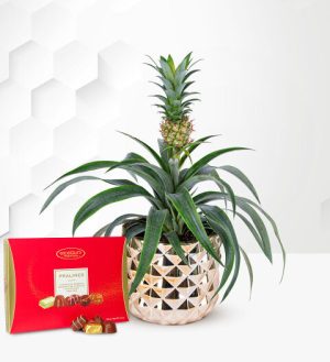 Prestige Flowers Golden Pineapple Plant with Chocolates