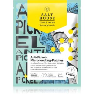 Salt House Natural Minerals Microneedling Anti-pimple Patches patches for problem skin to treat acne 6 pc