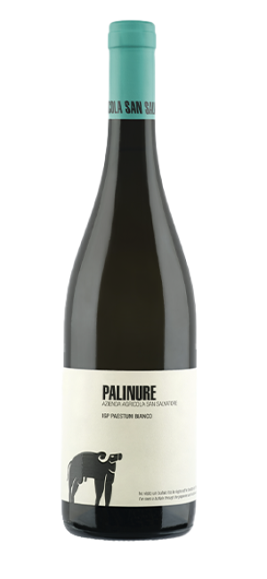 San Salvatore 1988 "Palinure" IGP Paestum Bianco 2022 - Country: Italy - Capacity: 0.75