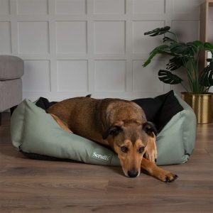 Scruffs Pet Bed green 20.0 H x 50.0 W x 60.0 D cm