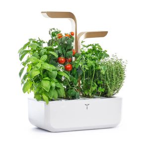 Veritable Moonlight Gold Connect 4-Slot Indoor Garden