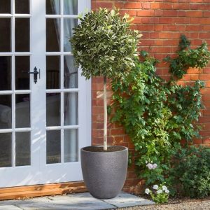 HORTICO Concrete Effect Round Planter, Frostproof Outdoor Plant Pot with Hammered Pattern, Round Garden Planter with Drainage Holes gray/black 35.0 H x 35.0 W x 37.0 D cm