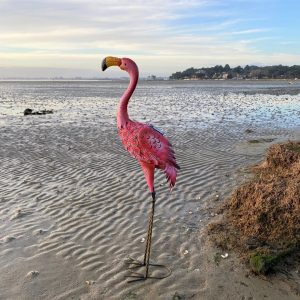 17 Stories Chilchinbito Flamingo 97cm Solar Powered Integrated LED Lawn Ornament pink 97.0 H x 21.0 W x 45.0 D cm