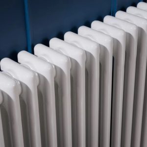 17 Stories Omayra Traditional Column Radiator 30.0 H x 2.382 W x 0.394 D cm