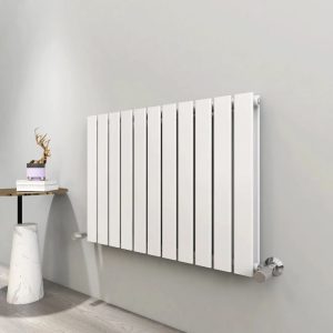Belfry Heating Bonilla Vertical Flat Panel Radiator gray 60.0 H x 74.8 W cm