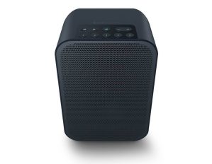 Bluesound Pulse Flex 2i Portable Wireless Multi-Room Music Streaming Speaker Black