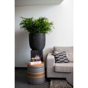Capi Europe Plant Pot black 53.0 H x 55.0 W x 53.0 D cm