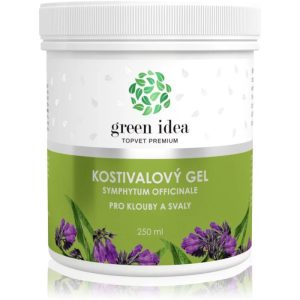 Green Idea Kostivalový gel massage gel for muscles and joints 250 ml