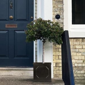 HORTICO Square Planter, Chelsea Flower Box Garden Planter, Light Stone Outdoor Plant Pot gray 11.81" H X 11.81" W X 11.81" D