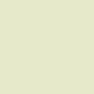 Protek Royal Exterior Paint 125ml - Lime White - Protek Royal Exterior Paint 125ml - Lime White