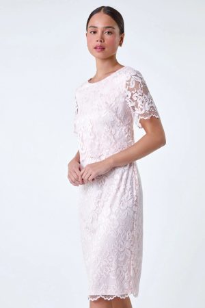 Roman Petite Roman Originals Petite Lace Overlay Stretch Bodycon Dress in Light Pink - Size 18 18 female