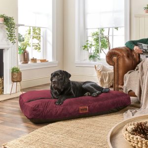 Slumberdown Paws for Slumber Raised Anti Slip Dog Bed red 20.0 H x 120.0 W x 90.0 D cm