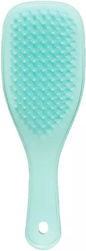 Tangle Teezer Hair Brush Wet Detangler Mini Green